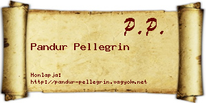 Pandur Pellegrin névjegykártya